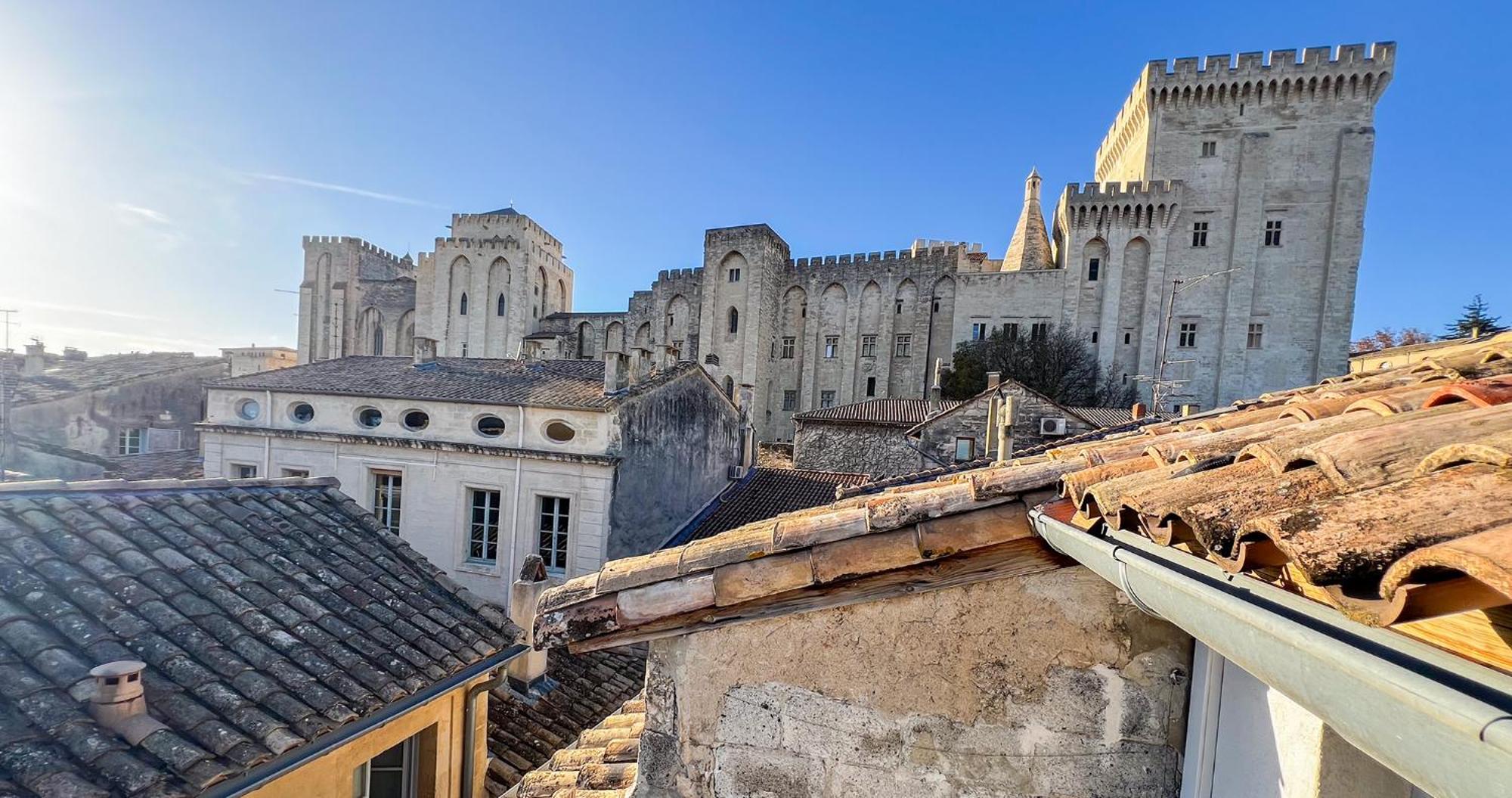 Apartament Ac - Private Exterior - Au Pied Du Palais Des Papes! Awinion Zewnętrze zdjęcie